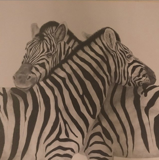 Mary Burrell, Zebra Love, Graphite pencil on paper. 