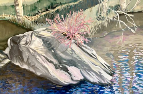 a grey rock with a pink flower on it surrounded by water
