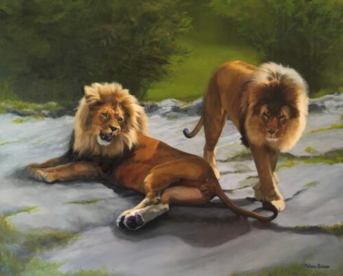 two lions. one is lying on a stone, one is standing on all fours