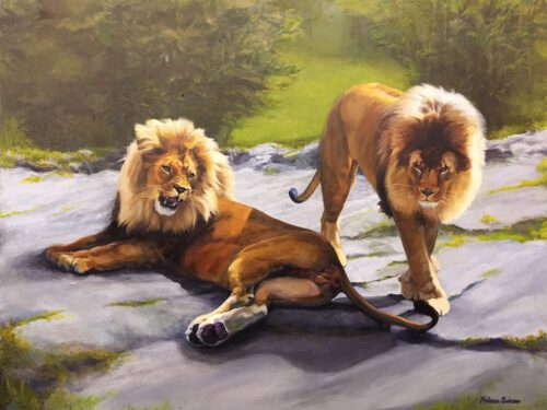 Bronx Zoo Lions by Melissa Selcow