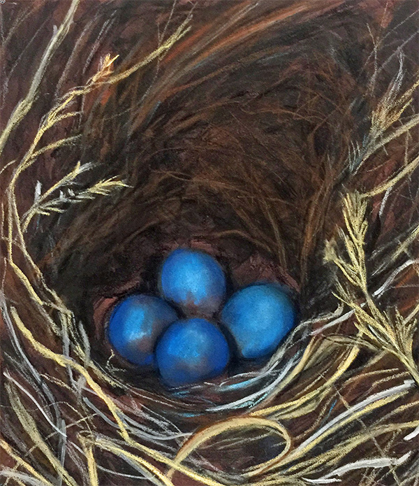 Blue Bird Eggs, 9 x 12 in.