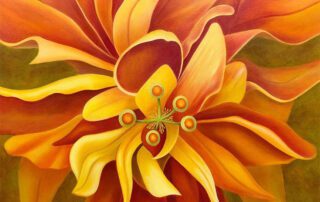 Orange Hibiscus