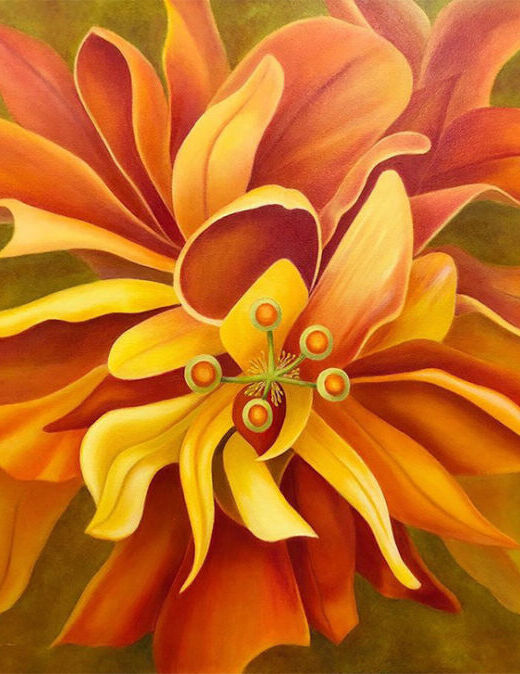 Orange Hibiscus
