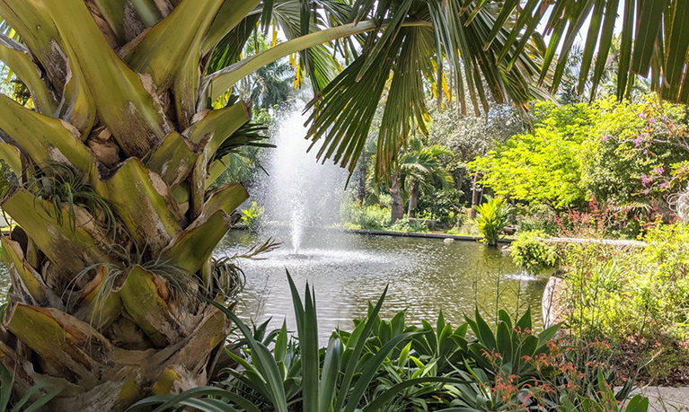 Miami Beach Botanical Garden