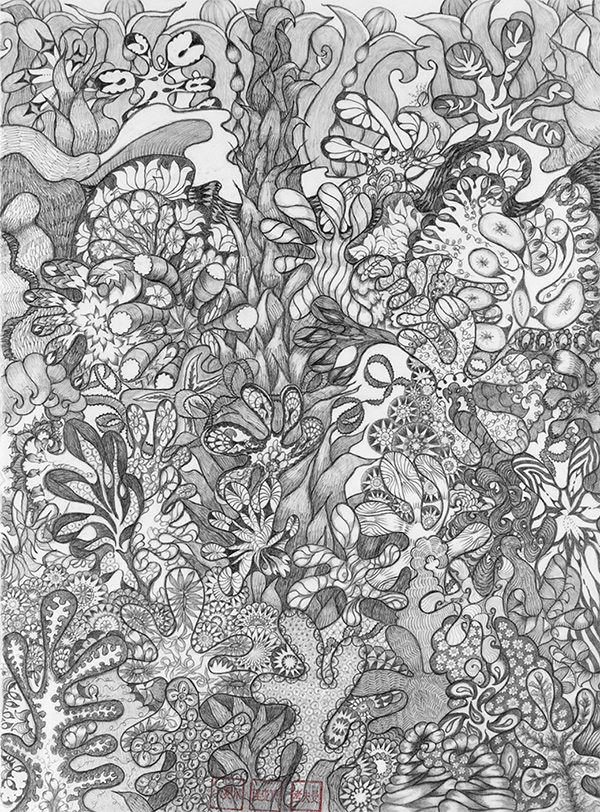 pencil drawing of plants