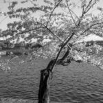 11400C9E-B246-4C50-AA30-4DE950D89061