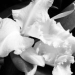 1BA08DB3-EDD5-4278-9D6B-974B6C1EAC76