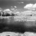 304EFEF1-BAB2-424A-BDD6-DADE9A31F328