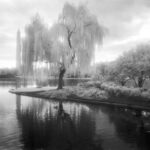 452A935C-5894-4F1A-BAEA-D9018780EF39