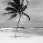 4BEAE34B-3FEA-49D2-81C9-562773EA9103