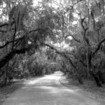 9EC464A9-0AC3-4808-9003-C132B5B6CF85