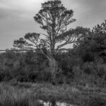 AD74EA53-D678-403A-8AC7-36BEDC3A2362