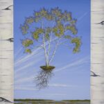 C. J._Lori_Sic Transit Birch_40x30