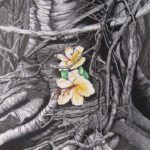 Funk_Sue_Intrusion-of-Life-Amongst-the-Detritus