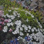 Leah_Tomaino_The Last_of_Mt._ Rainier_Recycled_Brown_Bags_&_Acrylic_Collage_on_Canvas_20x16_jpg