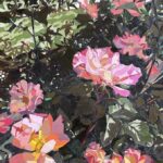 Tomaino_The Queen of Queens Village