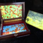 1605skyknows_openinsettoside