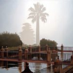 2.  Indistinct Reflections on the State of the World (Cordoba, Spain), oil on canvas, 36 x 72