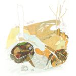 Constructed Shallow with Ice Rings 2022_24x18 ink on paper