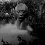 Leucantha in Smoke copy-1