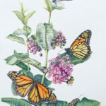 Lynn_Stephenson_NAWAcopy SmallThingsMatter