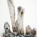 Lynn_Stephenson_NAWAcopy WoodPeace