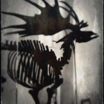 Megaloceros Giganteus_MayyaBork