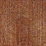 Magic Carpet #6 Zaronim