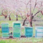 RuddySally_LesRuchesVertes