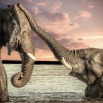 A Touch of Friendship-1