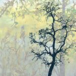 Mirror Lake Road copy