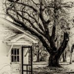 The House at McCalley's Creek-1