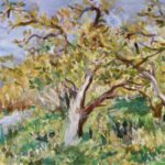 79763048_183680966091243_6292353321747349504_o