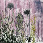 Colgan_Jane_Barnside