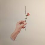 Jeffcoat_Uschi_FloweringQuince_10%22x8%22_painting_NFS