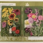 Susanlerner.gardnenperenials.collage.11x14