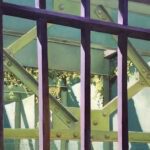 Ziegler_Jessica_Sun on Girders and Vines_Oil_24x24