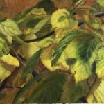 Ziegler_Jessica_light through leaves 4_Oil_6x12_400