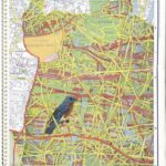 susanlerner.cagedin(2)