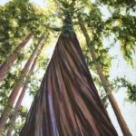 williams_christina_soar_softpastels_19h13w1d_workspaper_350