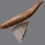 4 Engel_Lilian_R_FLEETING