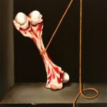 still-life-with-a-femur-bone_tbxoeBHU
