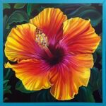 Hibiscus