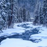 Stopping By The Woods...