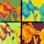 Iris (set of 4)8X8