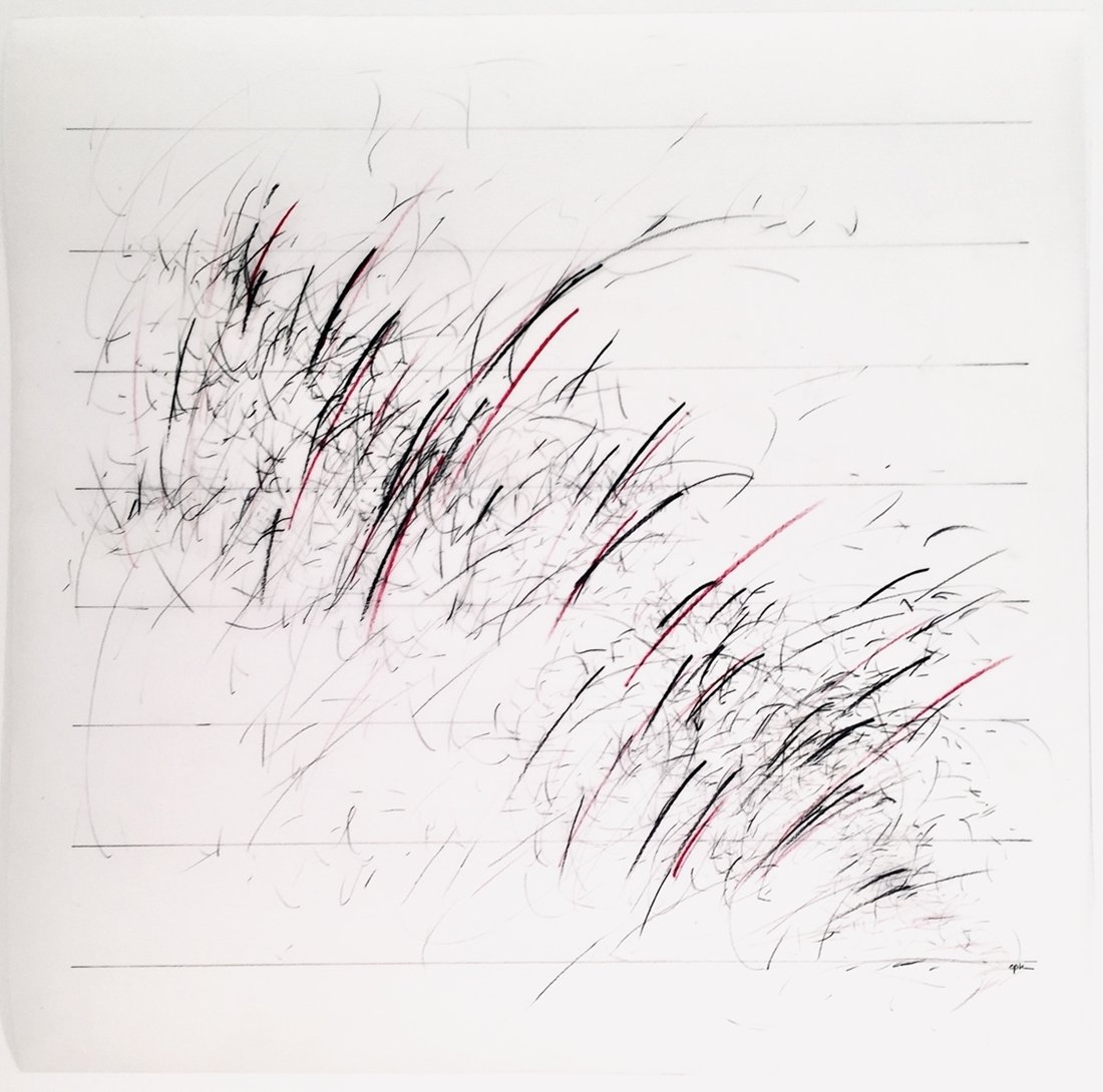Carole Kunstadt (NY)<br><em>Markings #51</em>