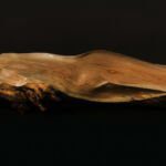 Tangible  Trances_Covid_Memorial_8_Carved Lilac Branch,  7_H x6_Wx44_L .jpg_; filename_=UTF-8''Tangible  Trances_Covid_Memorial_8_Carved Lilac Branch,  7_H x6_Wx44_L