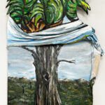 Transplant_56x27x5_