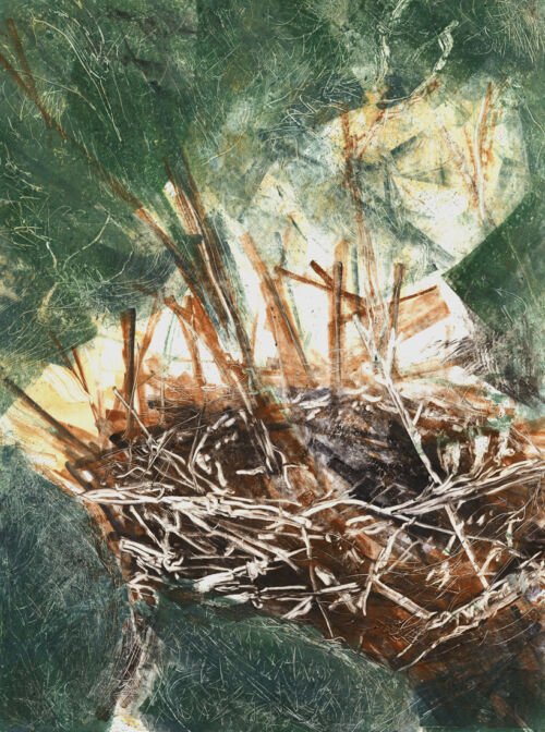 Lisa Absher