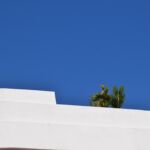 Chamberland_Susan_Sydney in Blue_Photography_24H X 36W X 1D